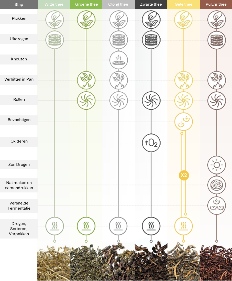 Overzicht verschillende thee en het process